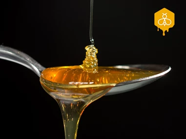 Direktvermarkter: Auf einem Löffel Honig steckt das Lebenswerk mehrerer hundert Bienen - und der Geschmack einer ganzen Landschaft - Bio-Imkerei am Gerichtsberg