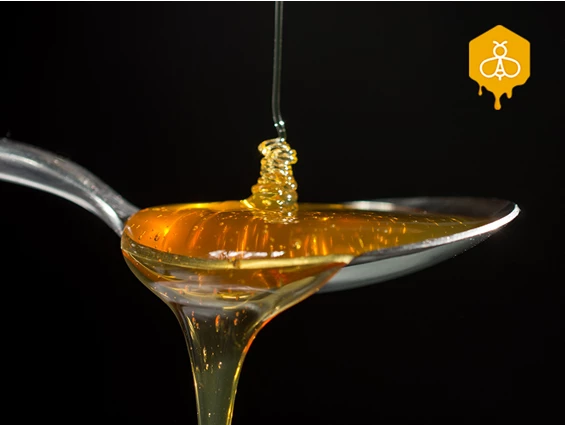 Direktvermarkter: Auf einem Löffel Honig steckt das Lebenswerk mehrerer hundert Bienen - und der Geschmack einer ganzen Landschaft - Bio-Imkerei am Gerichtsberg