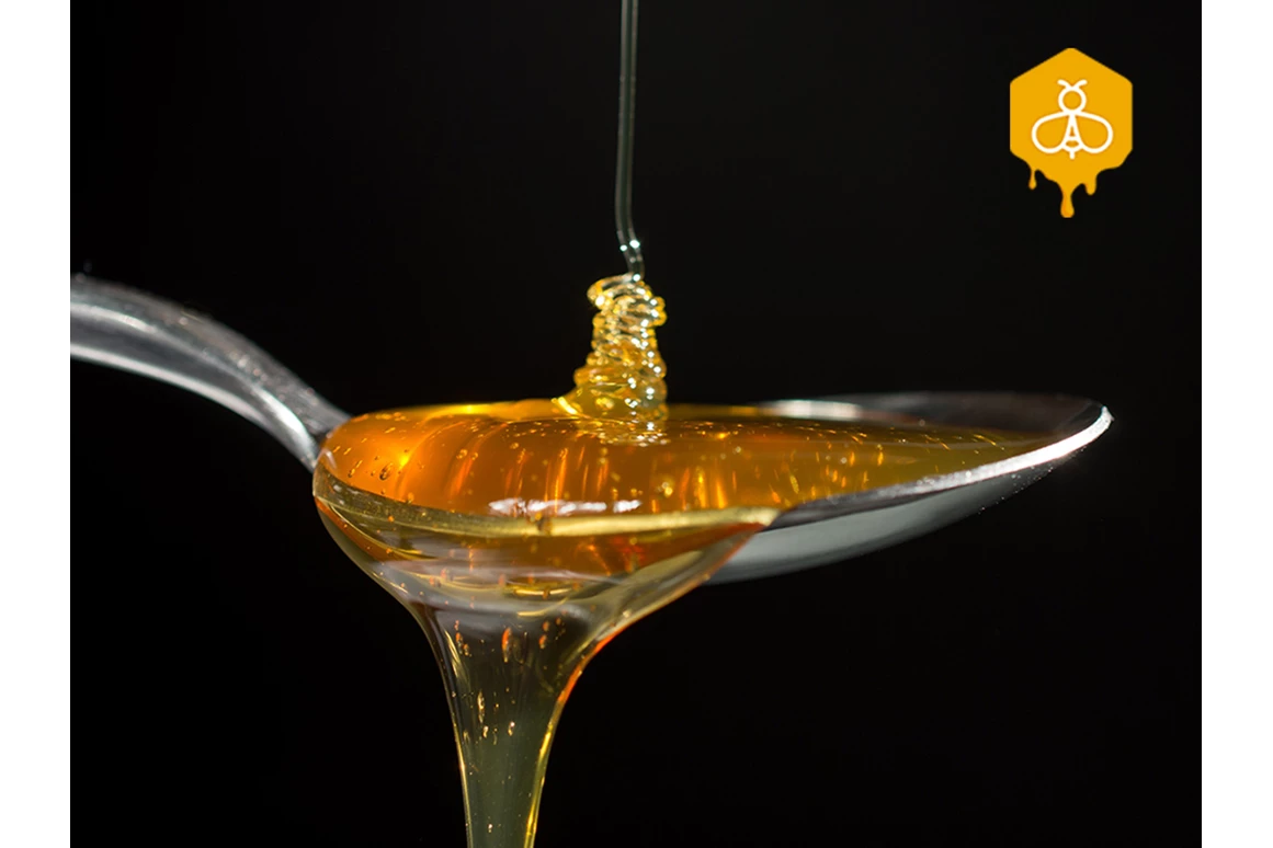 Direktvermarkter: Auf einem Löffel Honig steckt das Lebenswerk mehrerer hundert Bienen - und der Geschmack einer ganzen Landschaft - Bio-Imkerei am Gerichtsberg