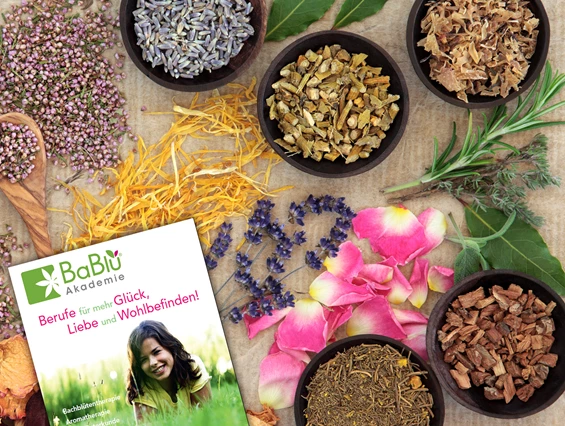 Unternehmen: BaBlü® Akademie & Onlineshop - für ganzheitliche Gesundheit