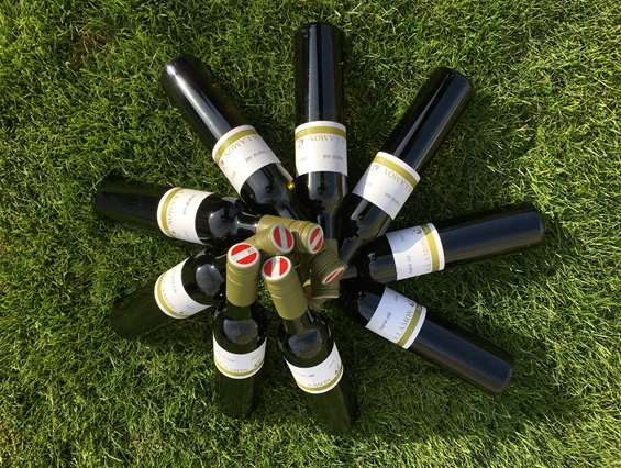 Unternehmen: Bio Weinbau AMON