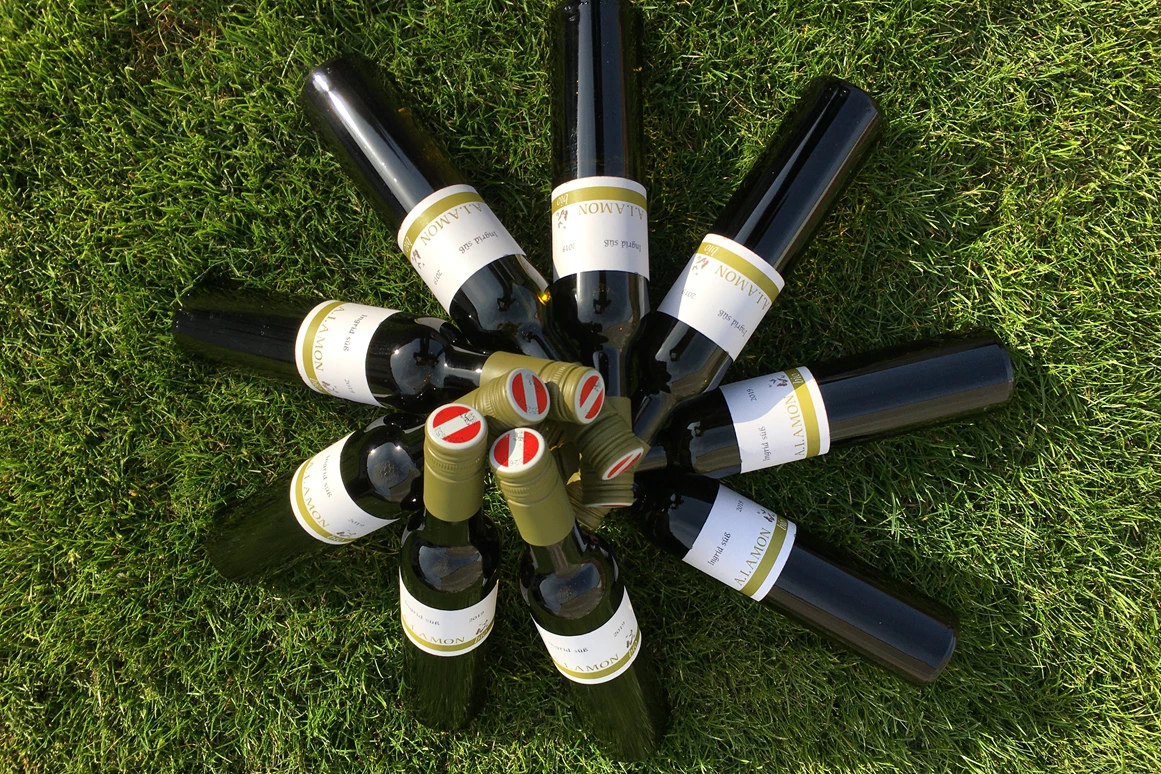 Unternehmen: Bio Weinbau AMON