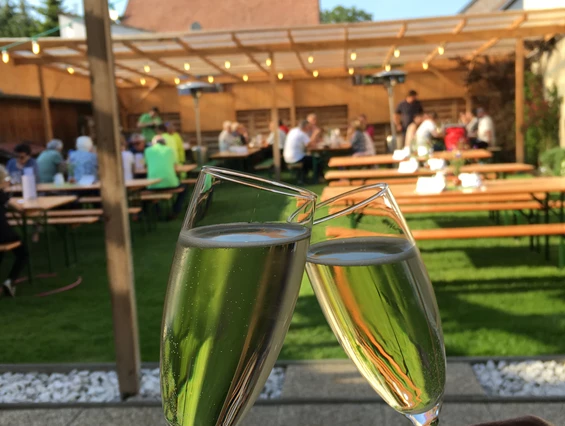 Unternehmen: Bio Weinbau AMON