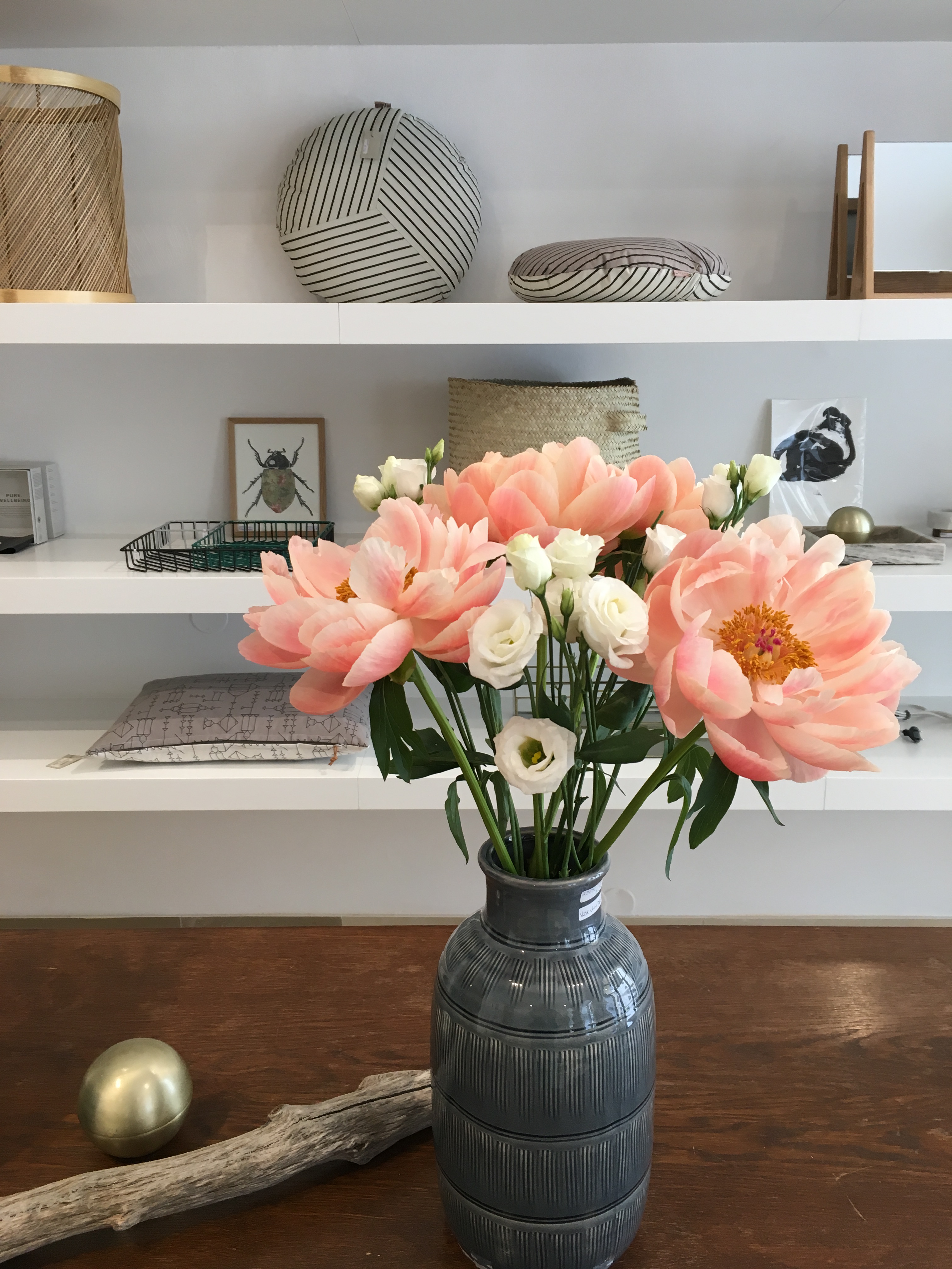 Händler - Steiermark - TASH LIVING