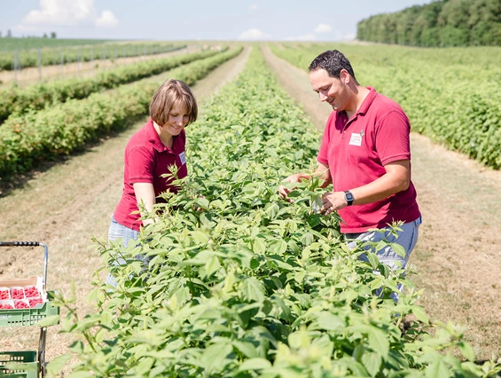 Unternehmen: Biobeerengarten Hummel