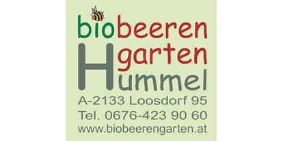 Händler - Wildendürnbach - Biobeerengarten Hummel - Biobeerengarten Hummel