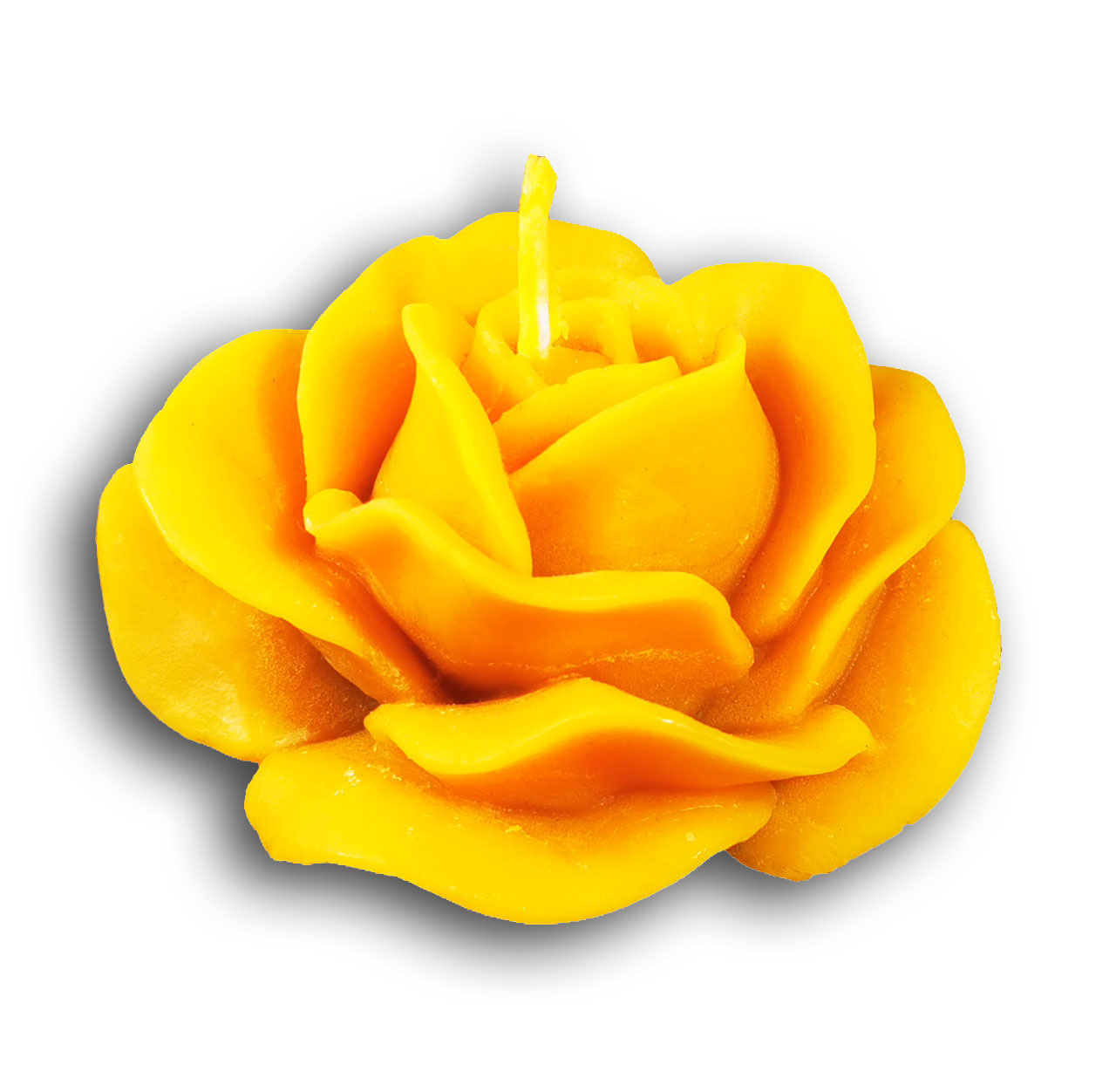 Maxis Imkerei Produkt-Beispiele Große Rosenblüte Wachs Kerze