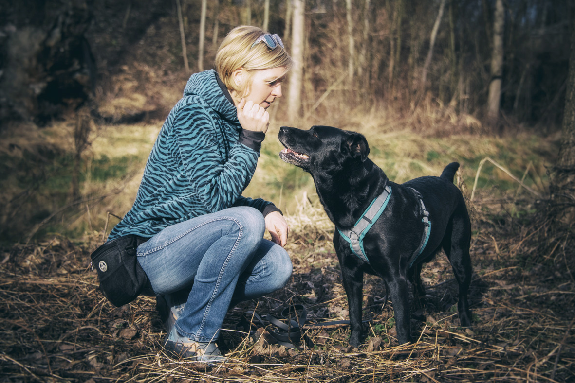 Händler - Mondsee - Daniela Loibl - Tierschutzhunde begleiten