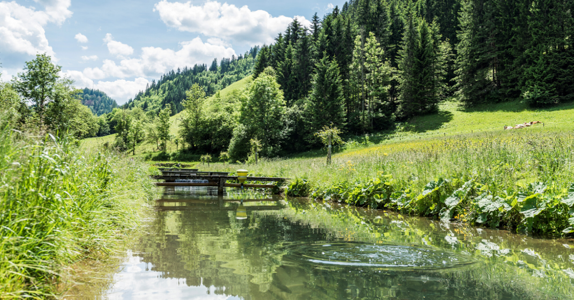 Unternehmen: Declevas Alpenfisch Mariazell