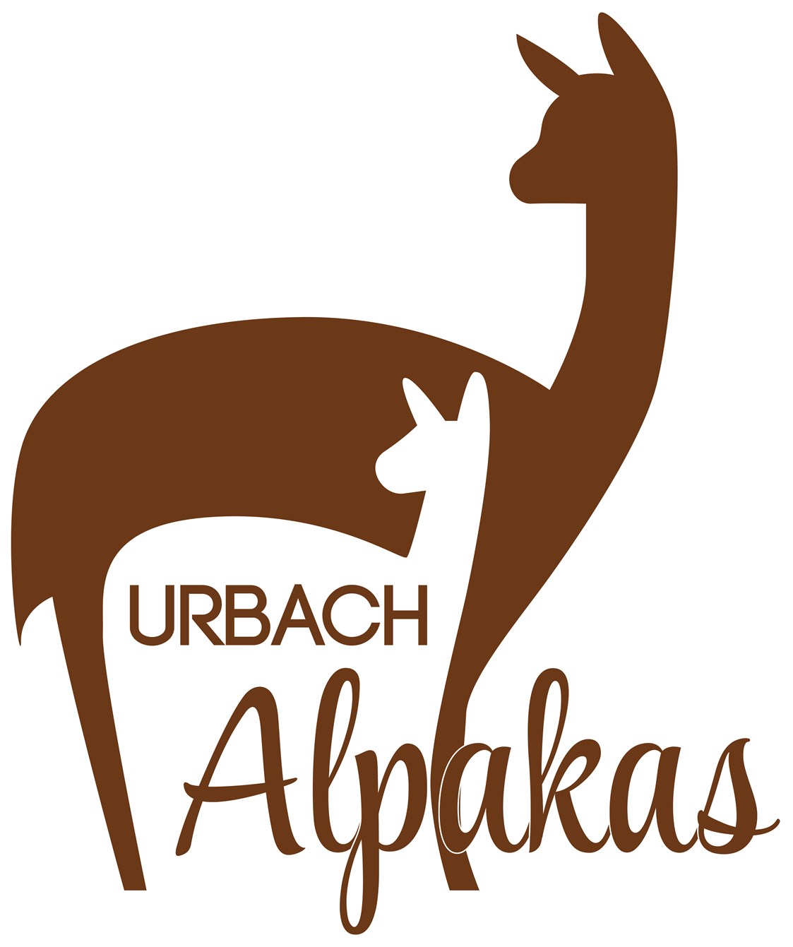 Unternehmen: URBACH Alpakas - Urbach Alpakas