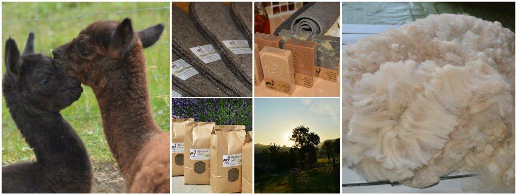 Händler - PLZ 3390 (Österreich) - Faszination Alpaka - Urbach Alpakas