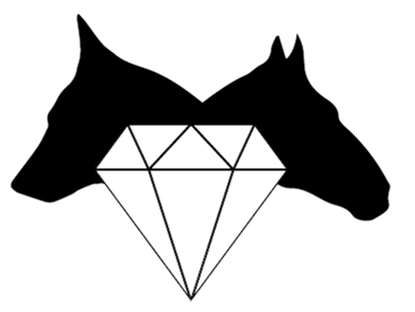Unternehmen: Logo - Tiertraining Diamant  - Tiertraining Diamant 
