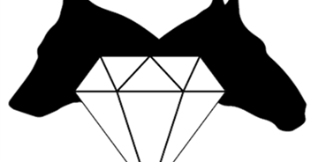 Händler - Salzburg-Stadt Salzburg - Logo - Tiertraining Diamant  - Tiertraining Diamant 