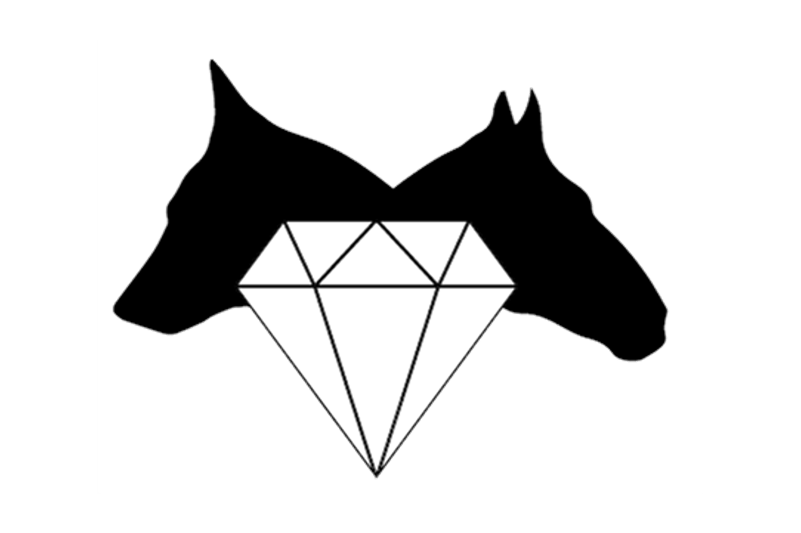 Unternehmen: Logo - Tiertraining Diamant  - Tiertraining Diamant 