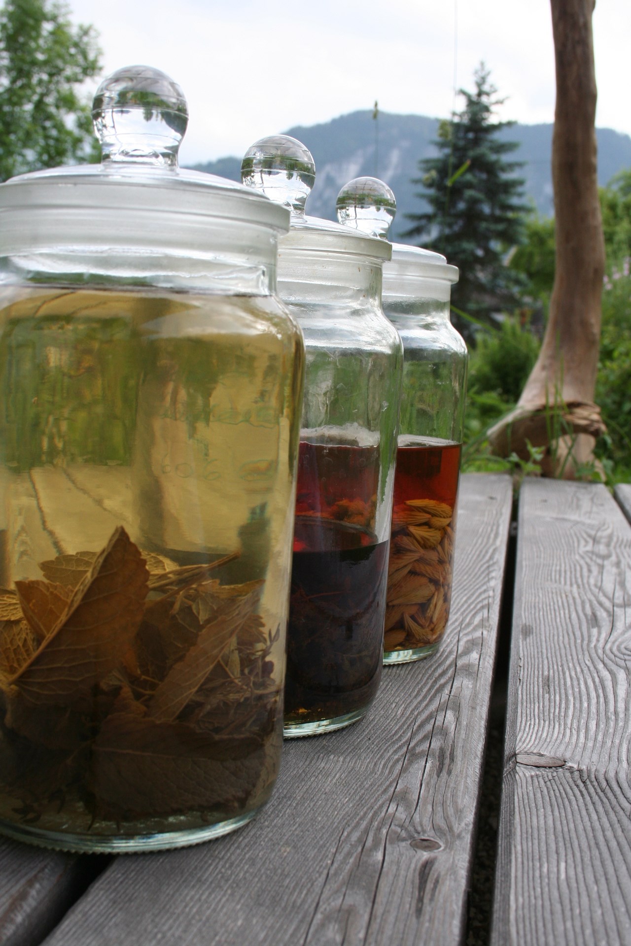 TEH - Traditionelle Europäische Heilkunde  Produkt-Beispiele Kräuter- und Heilpflanzenprodukte