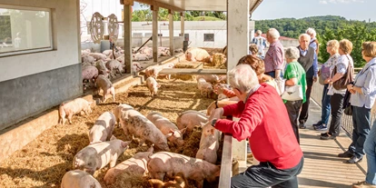 Händler - Fürstenfeld - Vulcano Schinkenerlebniswelt in Auersbach - Vulcano Fleisch, Wurst, Speck - und Schinkenmanufaktur