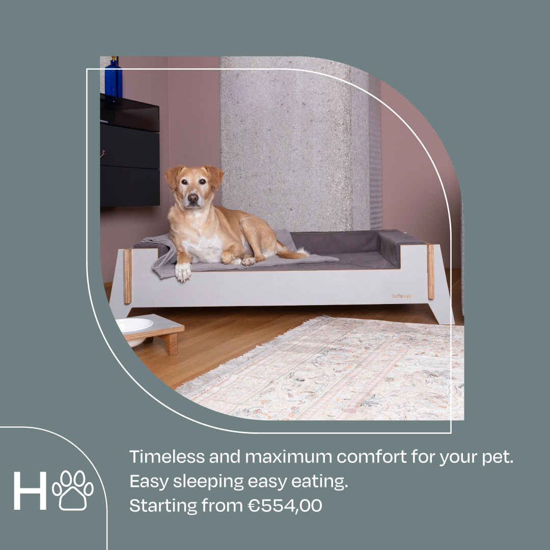 Händler - Oberösterreich - Petucci Interiors & Accessoiries