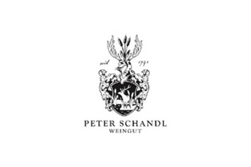 Unternehmen: Weingut Peter Schandl