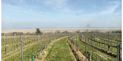 Händler - Burgenland - Weingut Peter Schandl