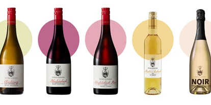 Händler - Burgenland - Weingut Peter Schandl