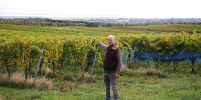 Händler - Burgenland - Weingut Peter Schandl