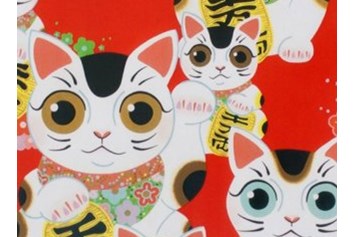 Unternehmen: Rijusbaeg  Fuku-Kitty - Das Handarbeitsgeschäft
