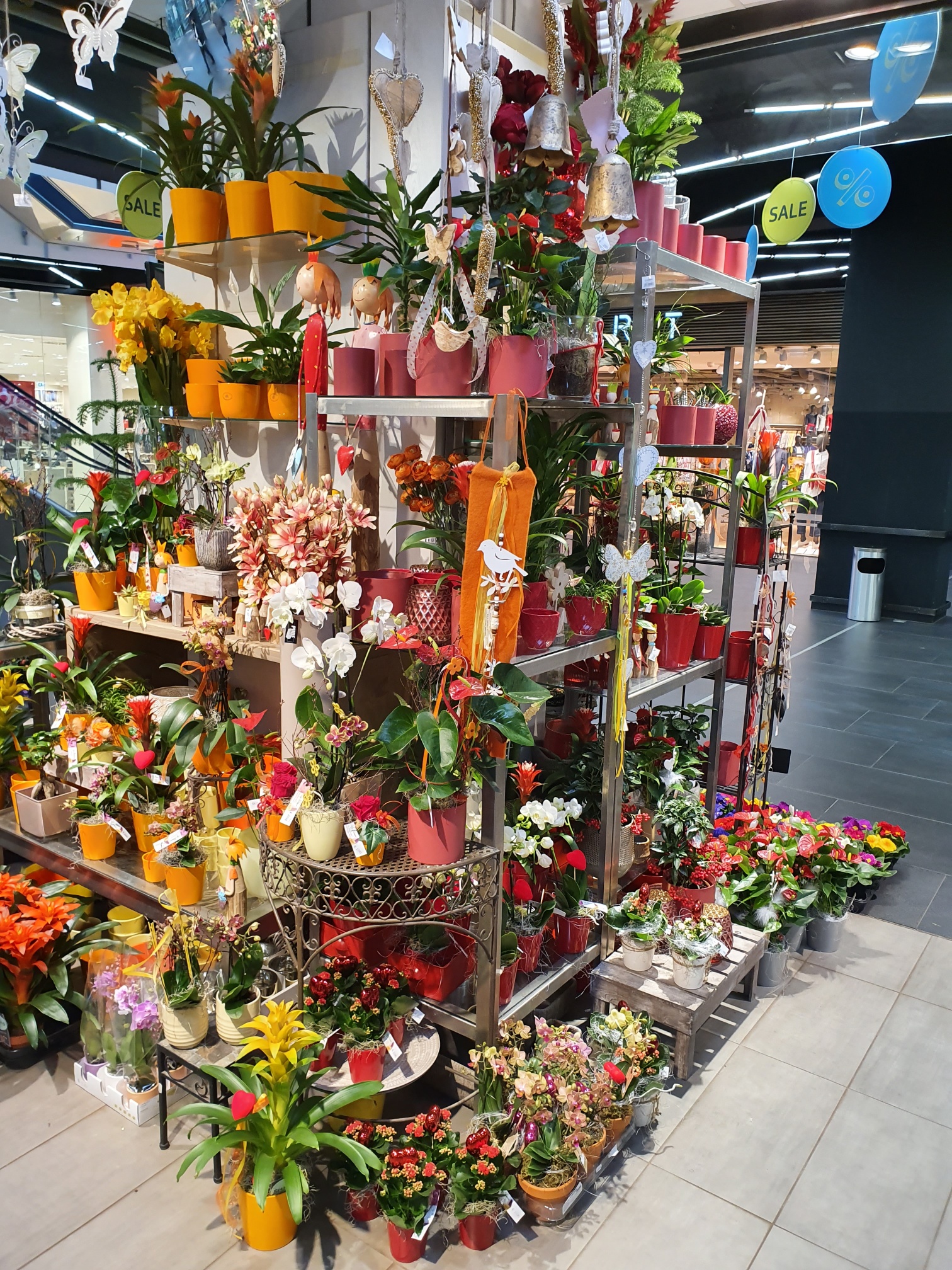 Händler - PLZ 8020 (Österreich) - City Blumen - City Blumen Helmut Nickl