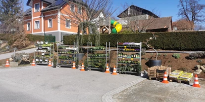 Händler - Feldkirchen bei Graz - Gärtnerei Erlauer