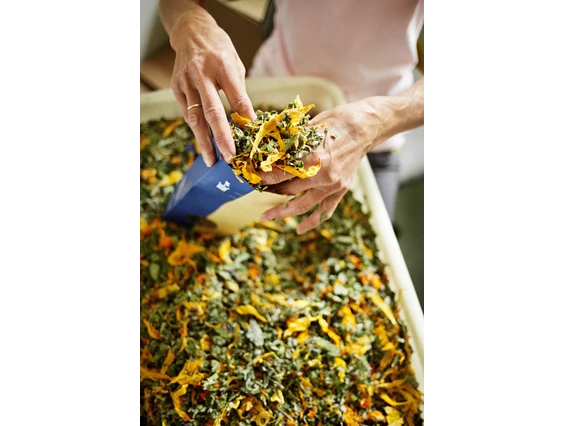 Unternehmen: SONNENTOR Kräuterhandels GMBH