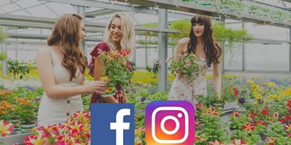 Händler - PLZ 4840 (Österreich) - Social Media
Gerne dürfen Sie auch unser Social Media Kanäle besuchen, Ihr könnt uns jederzeit kontaktieren und erfahrt regelmäßig mehr über unser Unternehmen.
@Gärtnerei Thellmann  - Gärtnerei Thellmann