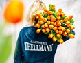 Unternehmen: Tulpen sind so schön  - Gärtnerei Thellmann 