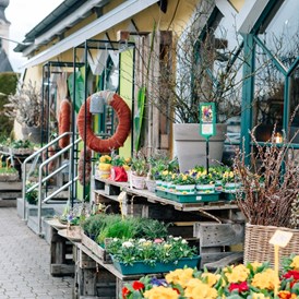 Unternehmen: Unser Blumen Laden in Vöcklamarkt  - Gärtnerei Thellmann 