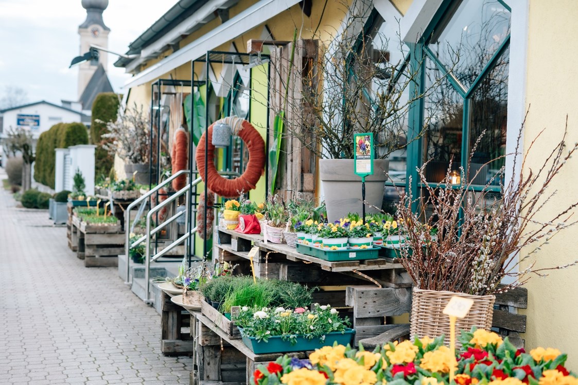 Unternehmen: Unser Blumen Laden in Vöcklamarkt  - Gärtnerei Thellmann 