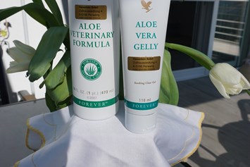 Unternehmen: Aloe Vera Produkte auch für deinen Liebling
 - Aloe Vera Produkte
