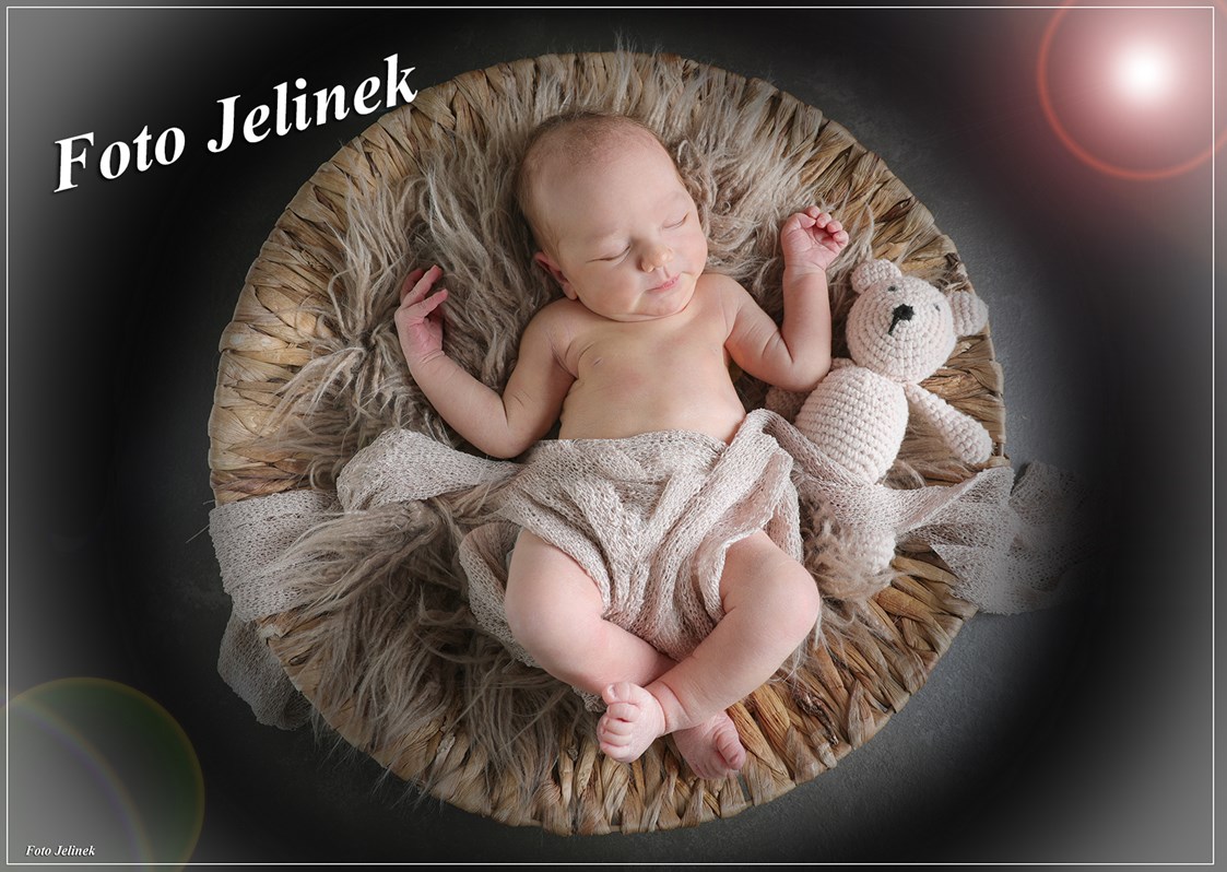 Unternehmen: Newbornshooting - Foto Jelinek - Rudolf Thienel