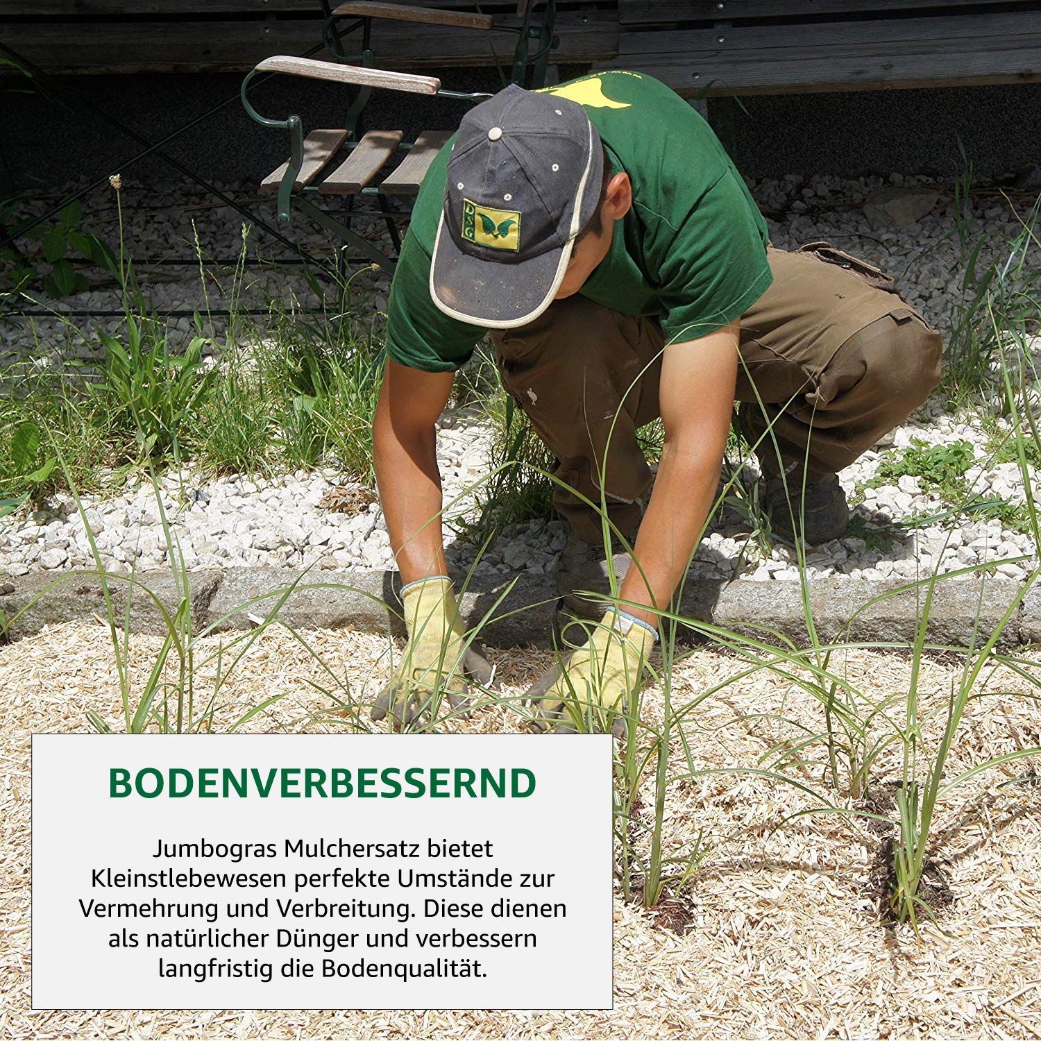 Unternehmen: Miscanthus-Mulch - Jumbograshecke.com