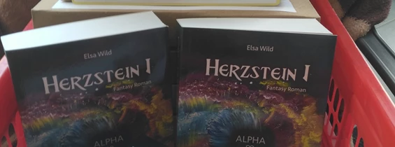 Unternehmen: Notfallbox gegen CoronaVirus Langeweile - Elsa Wild Herzstein-Saga