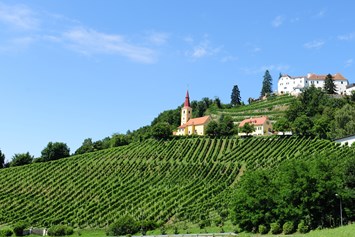 Unternehmen: Schloss Kapfenstein und Weingut Winkler-Hermaden - Weingut Winkler-Hermaden