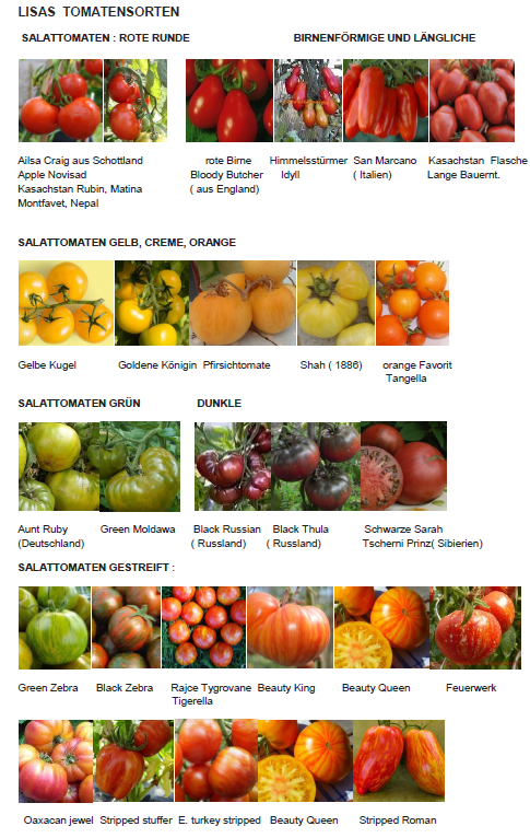 Tomatensorten aus aller WElt Produkt-Beispiele Tomatenpflanzen