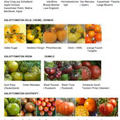Unternehmen - Tomatensorten aus aller Welt - Tomatensorten aus aller WElt