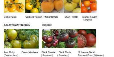 Händler - PLZ 7453 (Österreich) - Tomatensorten aus aller Welt - Tomatensorten aus aller WElt