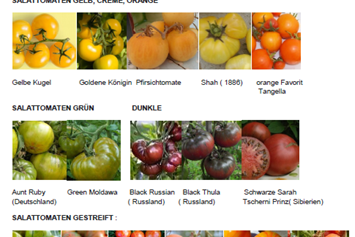Unternehmen: Tomatensorten aus aller Welt - Tomatensorten aus aller WElt