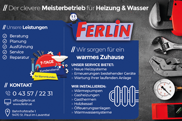Unternehmen: Ferlin GmbH