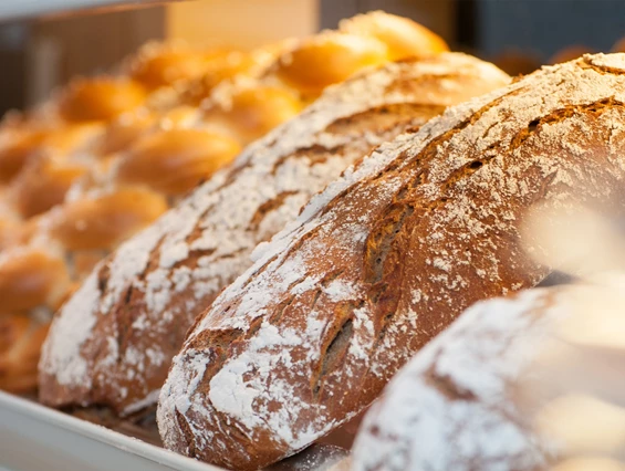 Unternehmen: Naturbäckerei Lagler