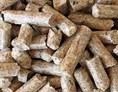 Unternehmen: Pellets Tonnenpreis 200Euro bis 230 Euro - Grasser Brennstofferzeugung 