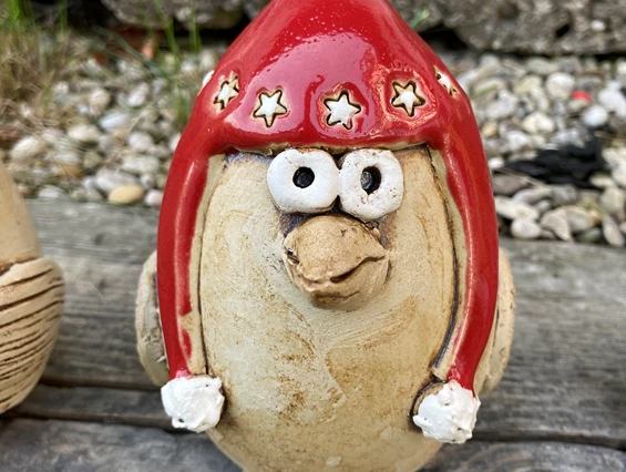 Artikel: Mützenvogel