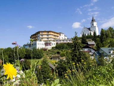 Unternehmen: Der WILDe EDER - Der WILDe EDER