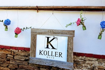 Unternehmen: Weingut Koller 