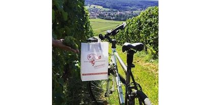 Händler - Fürstenfeld - WeinGut Glatz Bad Waltersdorf