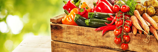 Händler - PLZ 8263 (Österreich) - Gemüsehof Zotter